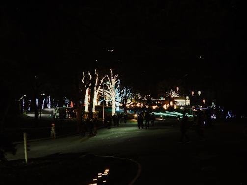 A warmly lit pathway in Porter Park decorated with colorful holiday lights at dusk.