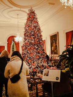 A large, elaborately decorated Christmas tree adorned with red and white ribbons, ornaments, and florals stands prominently in a luxurious room with high ceilings. Several people are gathered around, admiring the tree. There are elegant chandeliers and red curtains complementing the festive atmosphere. A sign with information is positioned in front of the tree.