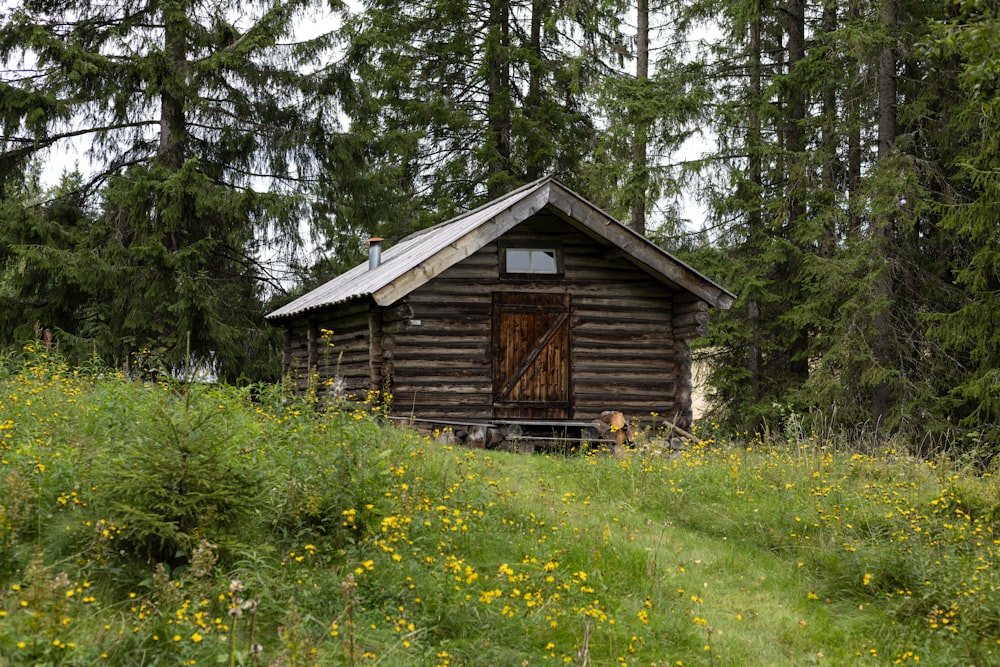 Una pequeña cabaña de madera en un campo de flores silvestres