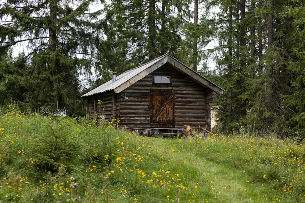 a small log cabin in a field of wildflowers