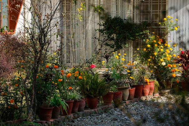 A row of colorful FRP planters arranged along a sunlit garden path.