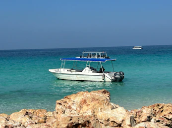 A stylish motorboat anchored near a rocky Adriatic shore with crystal-clear water.