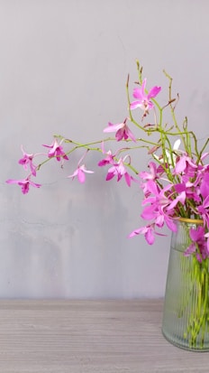 A glass vase holds a bouquet of vibrant pink orchids with long, slender green stems. The flowers are partially open, displaying delicate petals against a neutral, soft gray background. The surface beneath is a light, textured wooden table.