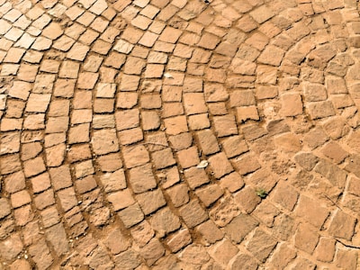 A detailed view of a cobblestone pavement laid out in a circular pattern. The stones are of irregular shapes and sizes and are set tightly against one another, with visible gaps and some small debris like leaves scattered on the surface.