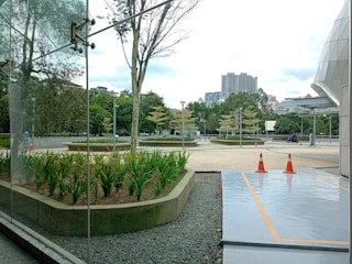 A modern urban environment with a glass façade reflecting nearby trees. In the foreground, there is a landscaped area with lush green plants bordered by pebbles. The paved path leads towards orange traffic cones indicating a restricted area. In the background, tall buildings and a few parked vehicles are visible under a cloudy sky.