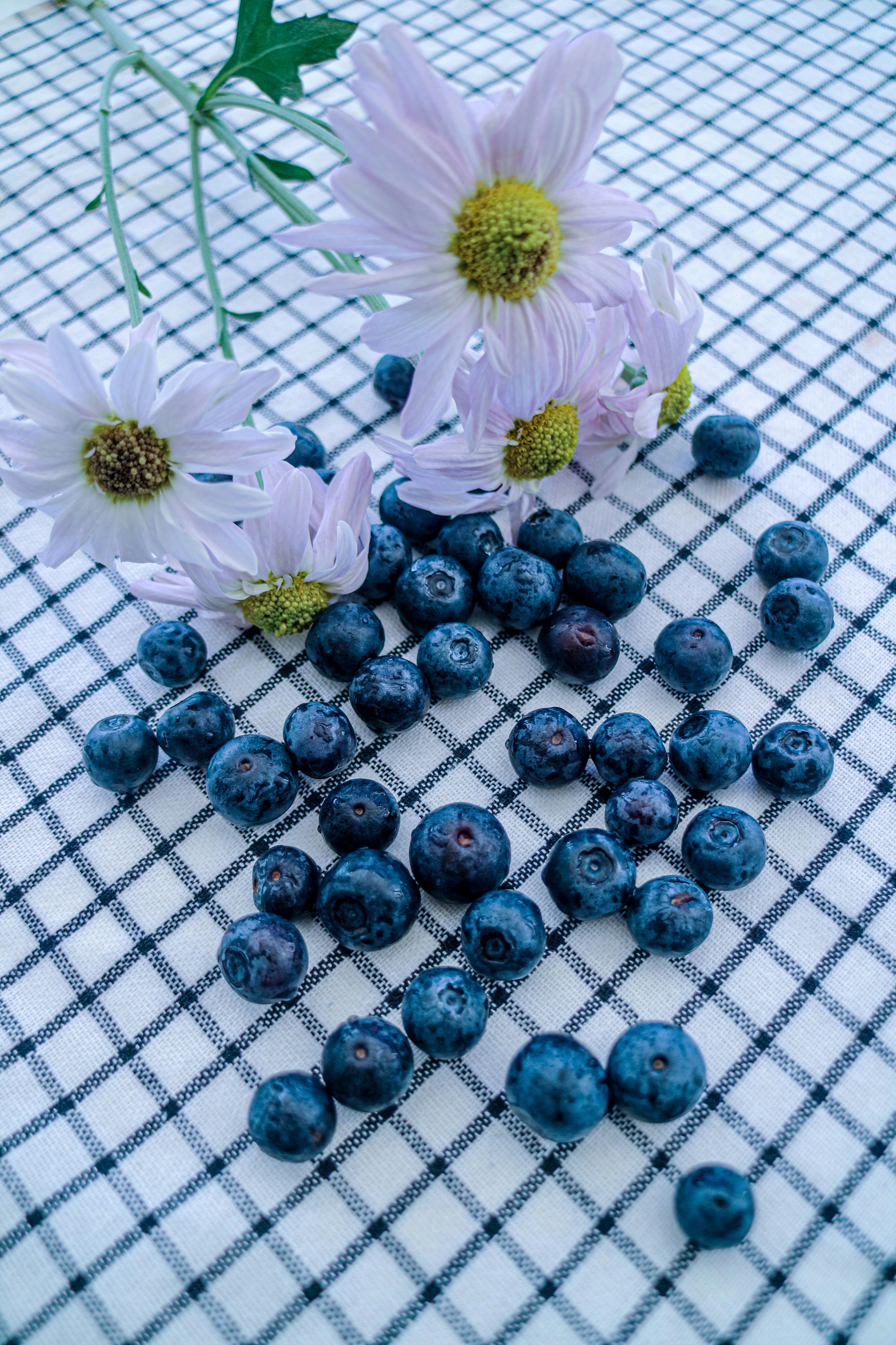 Frozen Blueberry Recall: Listeria Warning Issued for Multiple States