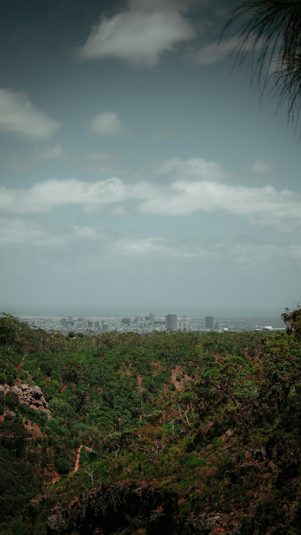 a view of a city from the top of a hill