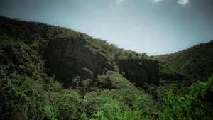 Terrain Mare-Gaillard
