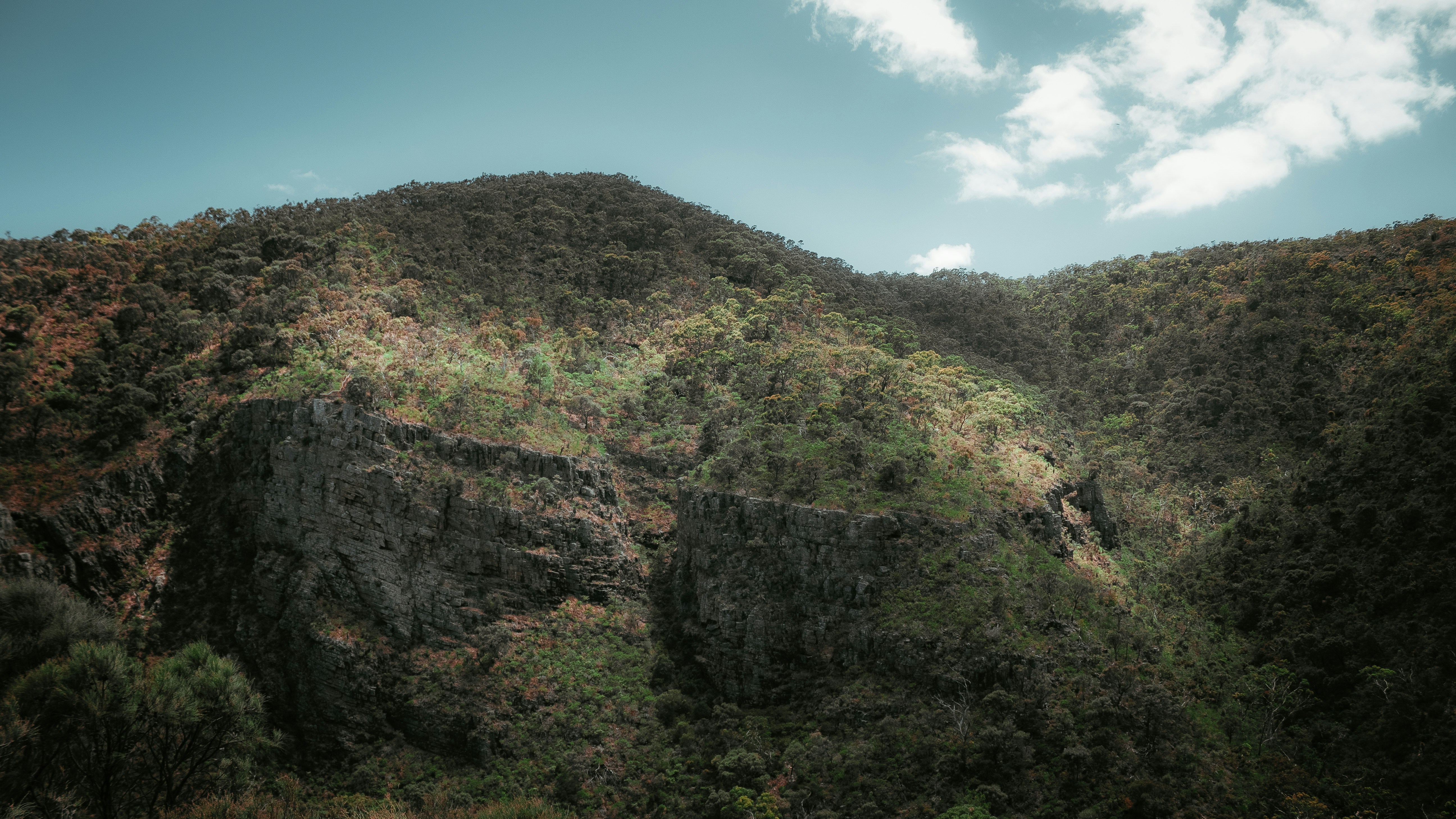 Photo by photophilic_spook