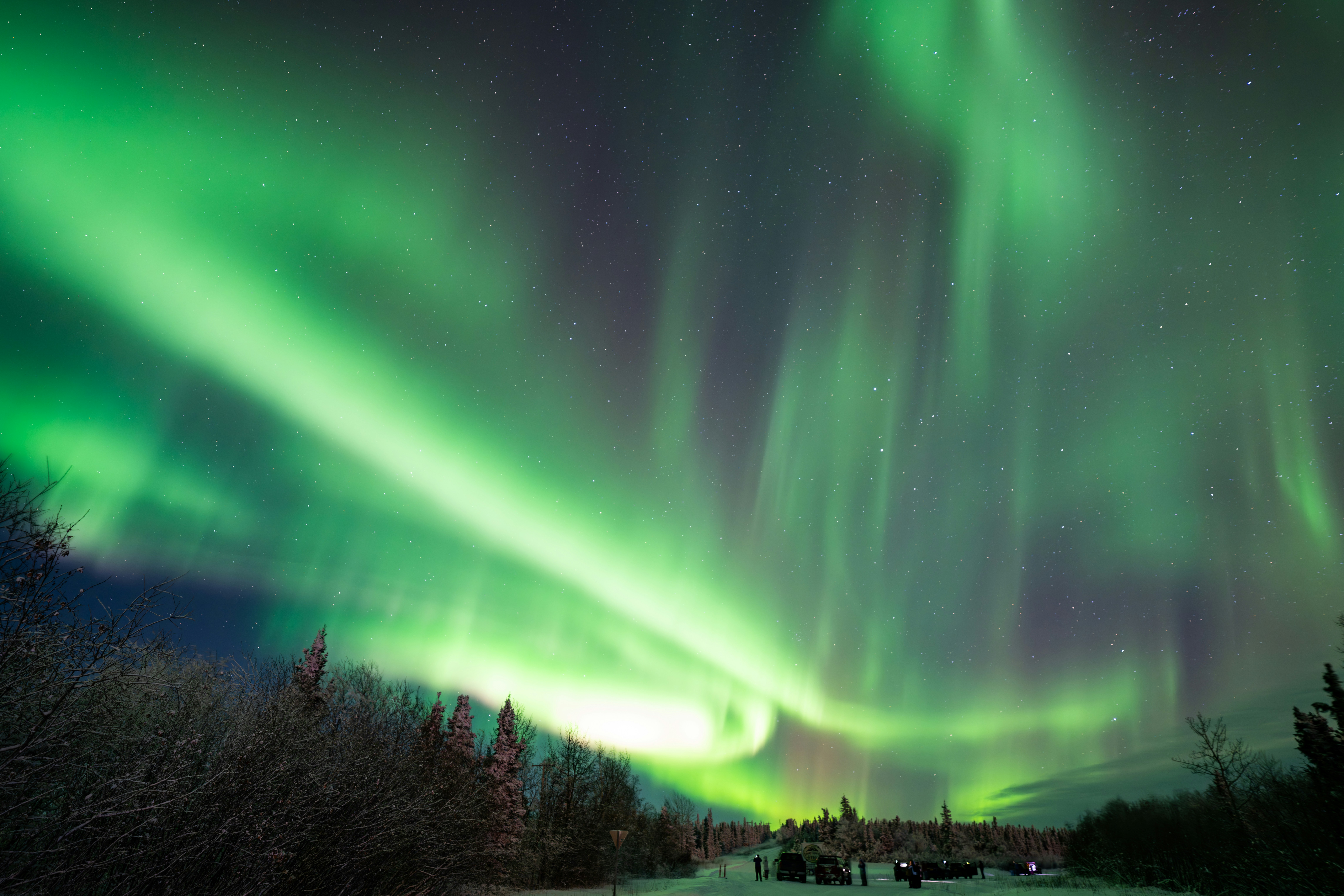 a green and purple aurora bore in the night sky