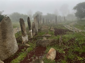 A foggy landscape featuring a series of ancient stone monoliths arranged in lines. The stones, varying in size and shape, are surrounded by patches of green grass and brown earth. A path lined with a simple wire fence snakes through the scene, leading into the misty distance. Trees and shrubbery are barely visible in the thick fog, adding an aura of mystery.