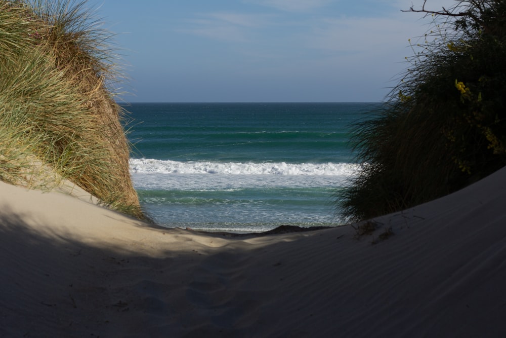 a view of the ocean from a sand dune