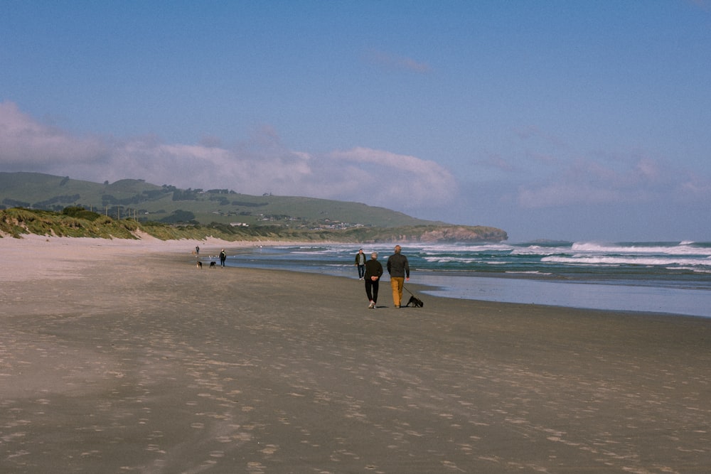 a group of people walking along a beach next to the ocean