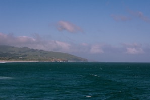 The lush green hills and peaceful beaches of Huatulco under a clear sky