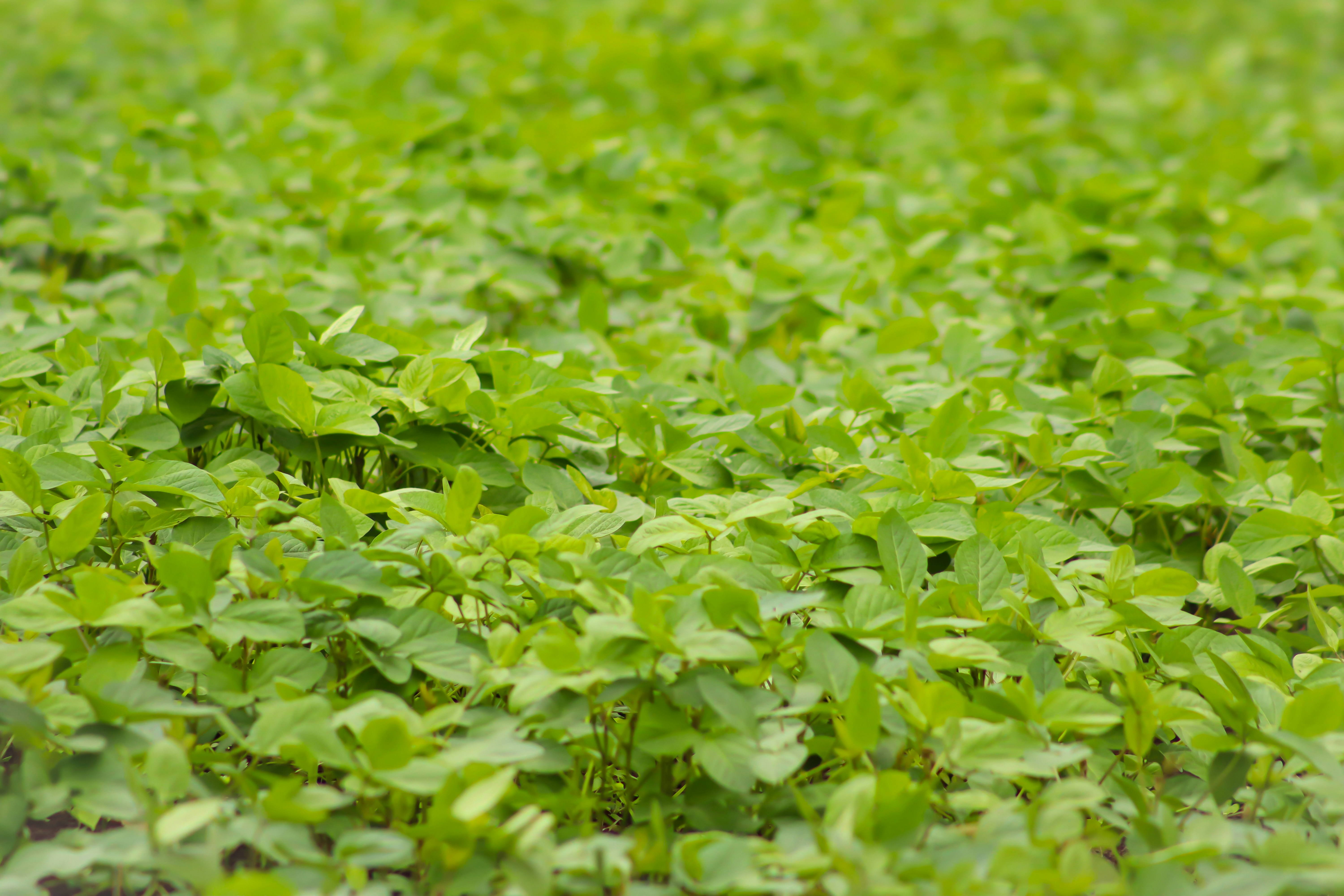 Photo by pushpak_art