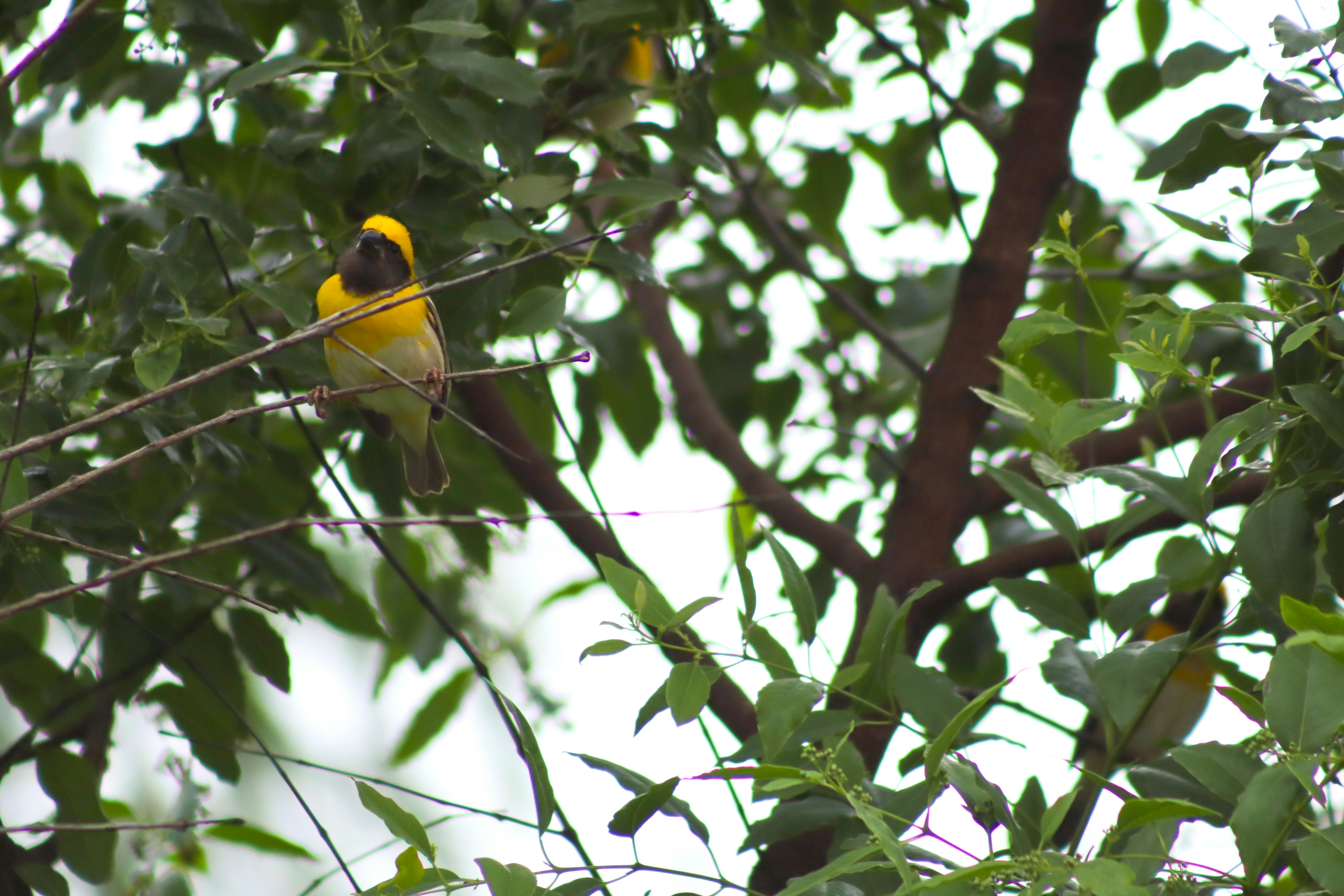 Photo by pushpak_art