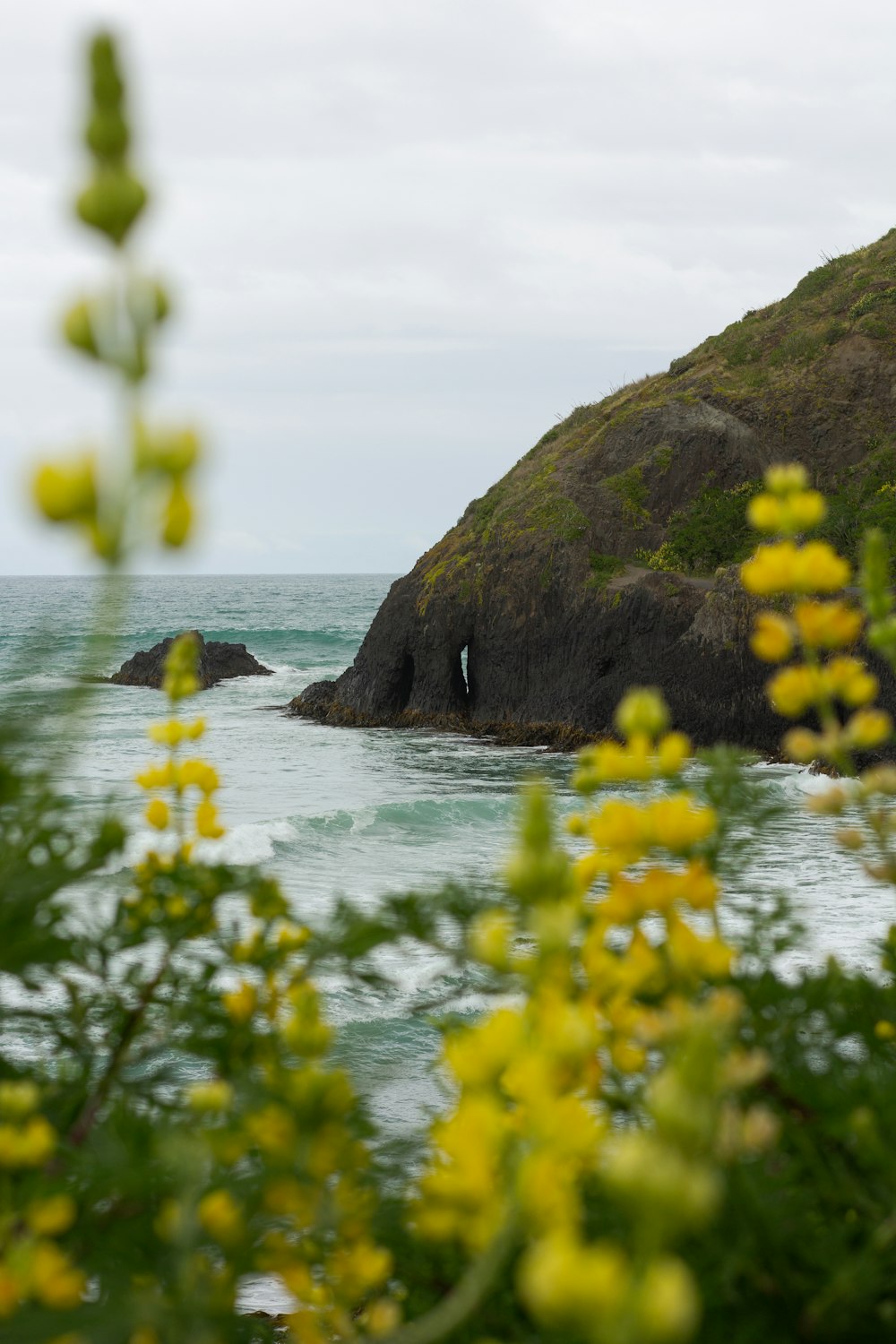 a body of water surrounded by a lush green hillside