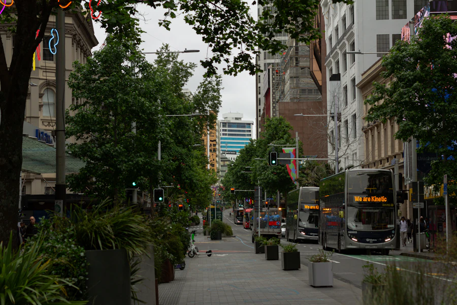Auckland network coverage