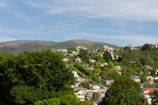 A scenic view of a hillside neighborhood with numerous houses surrounded by lush greenery. The landscape extends into the distance, with additional hills under a clear blue sky.