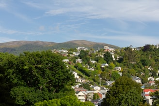 A scenic view of a residential neighborhood with houses.