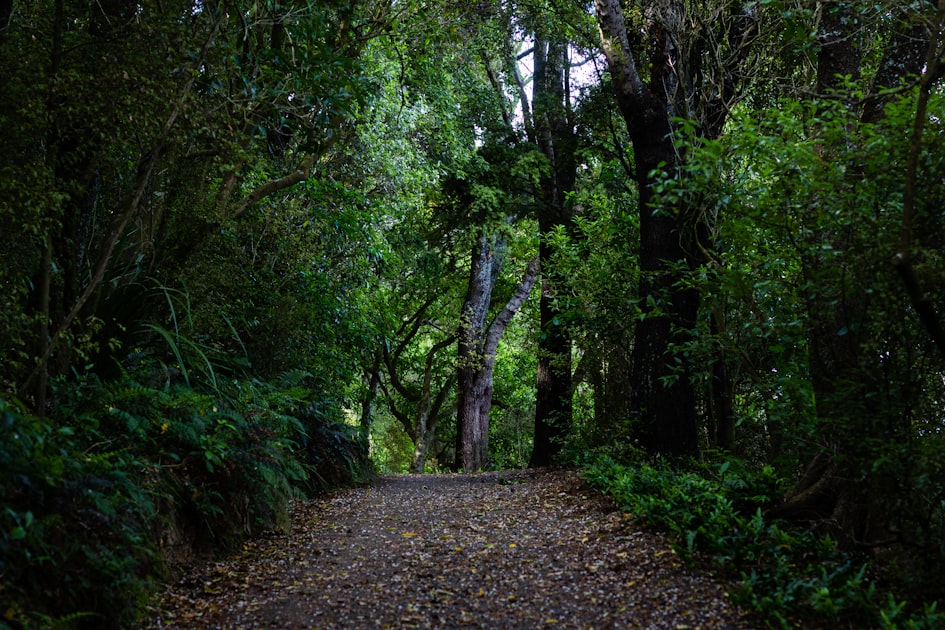 New Zealand by Mountain Bike: The Trails That Define the Southern Hemisphere