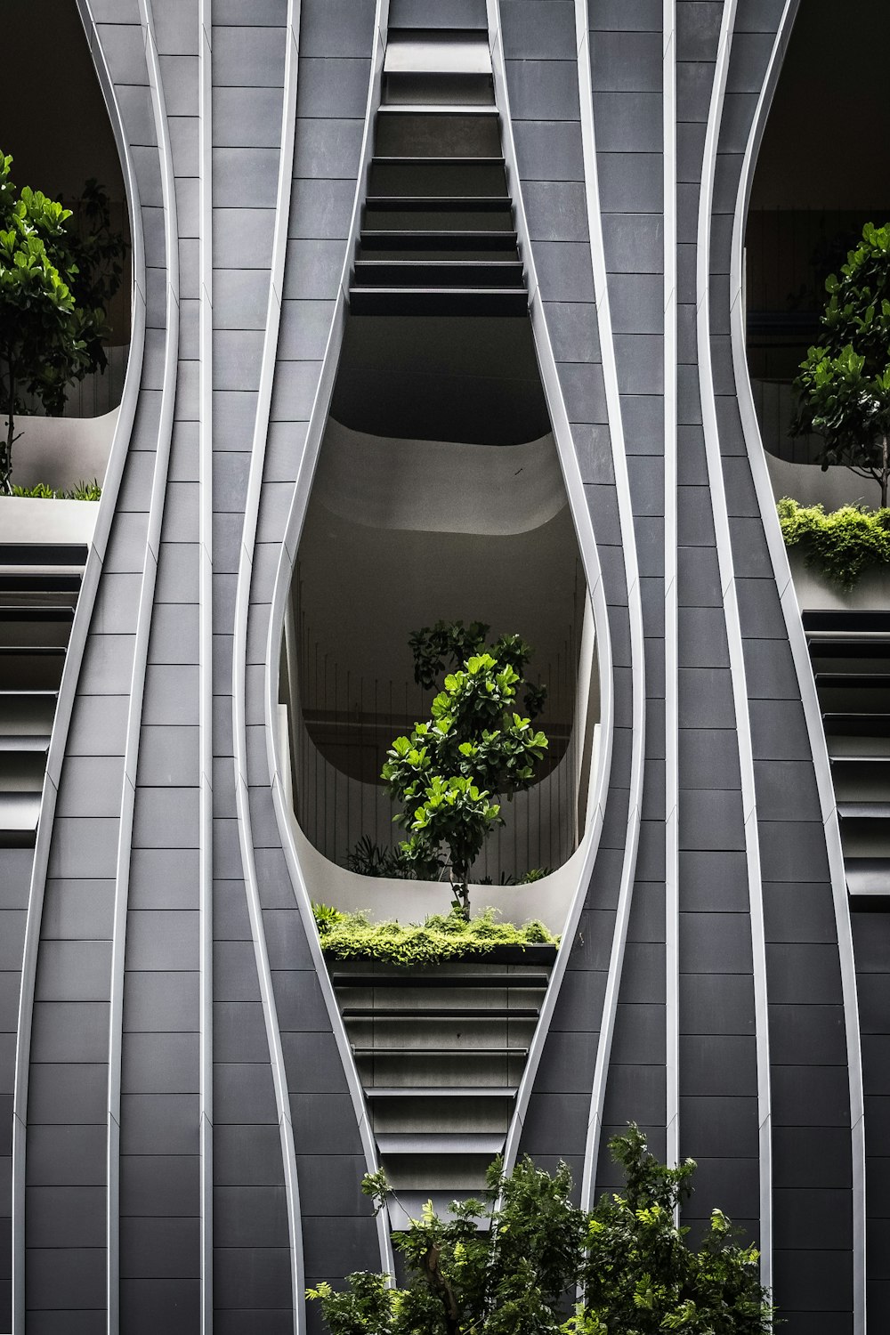 a tall building with a tree in the middle of it