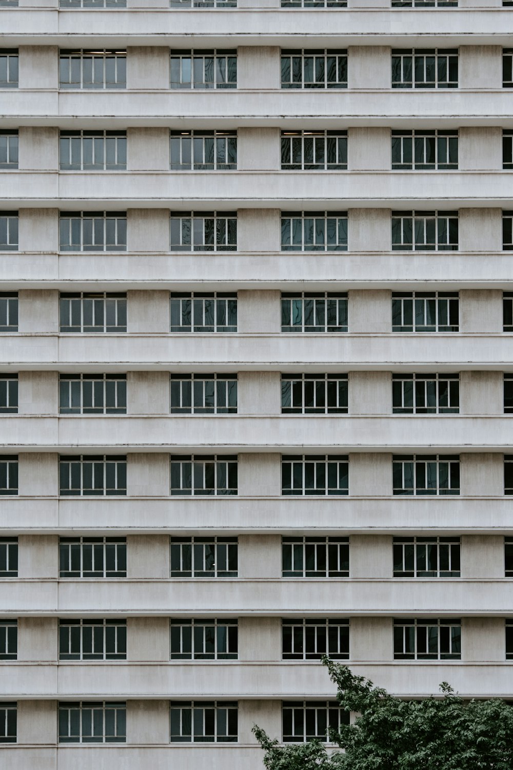 a large building with many windows and a tree in front of it