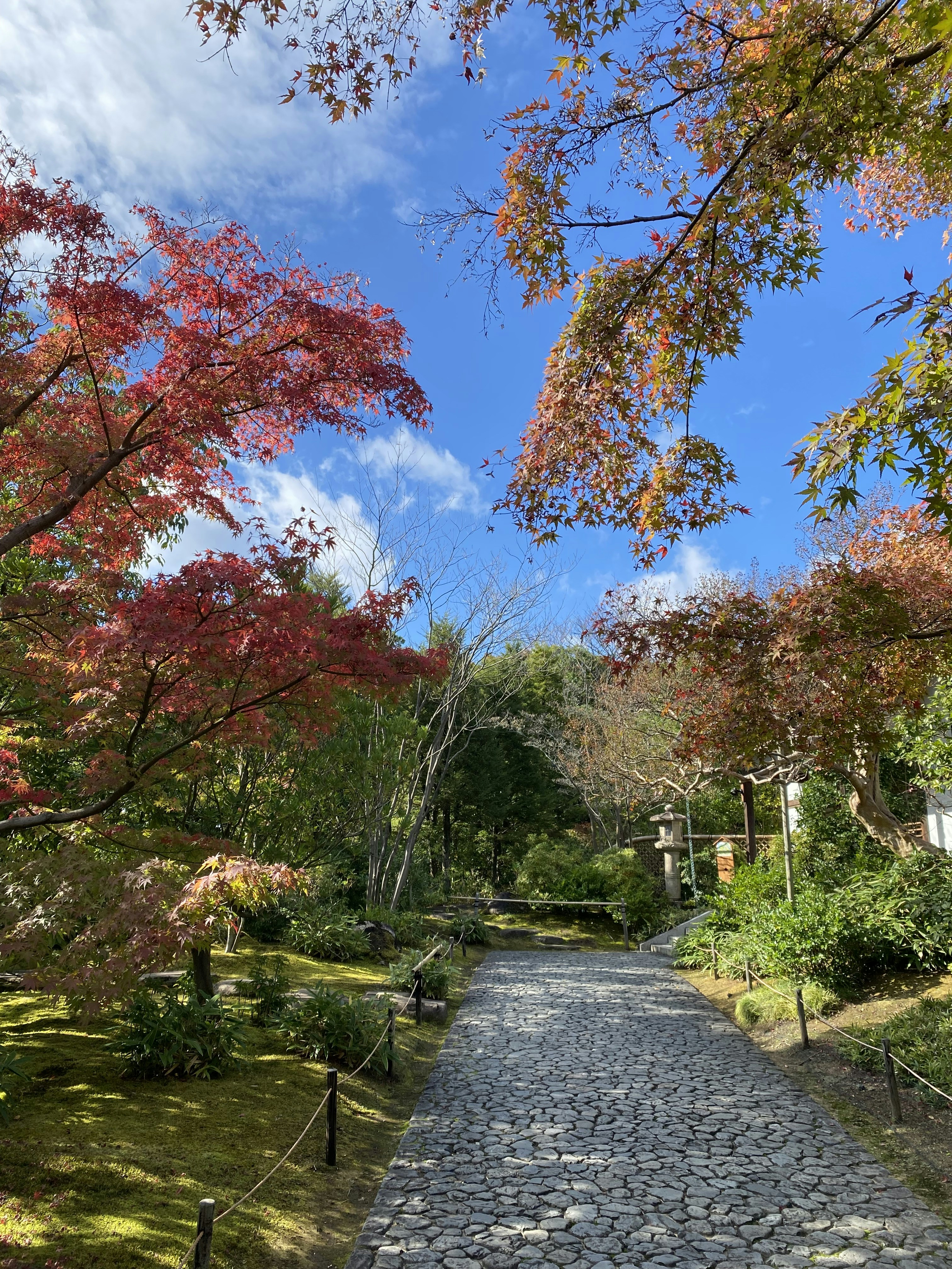a cobble stone path surrounded by trees