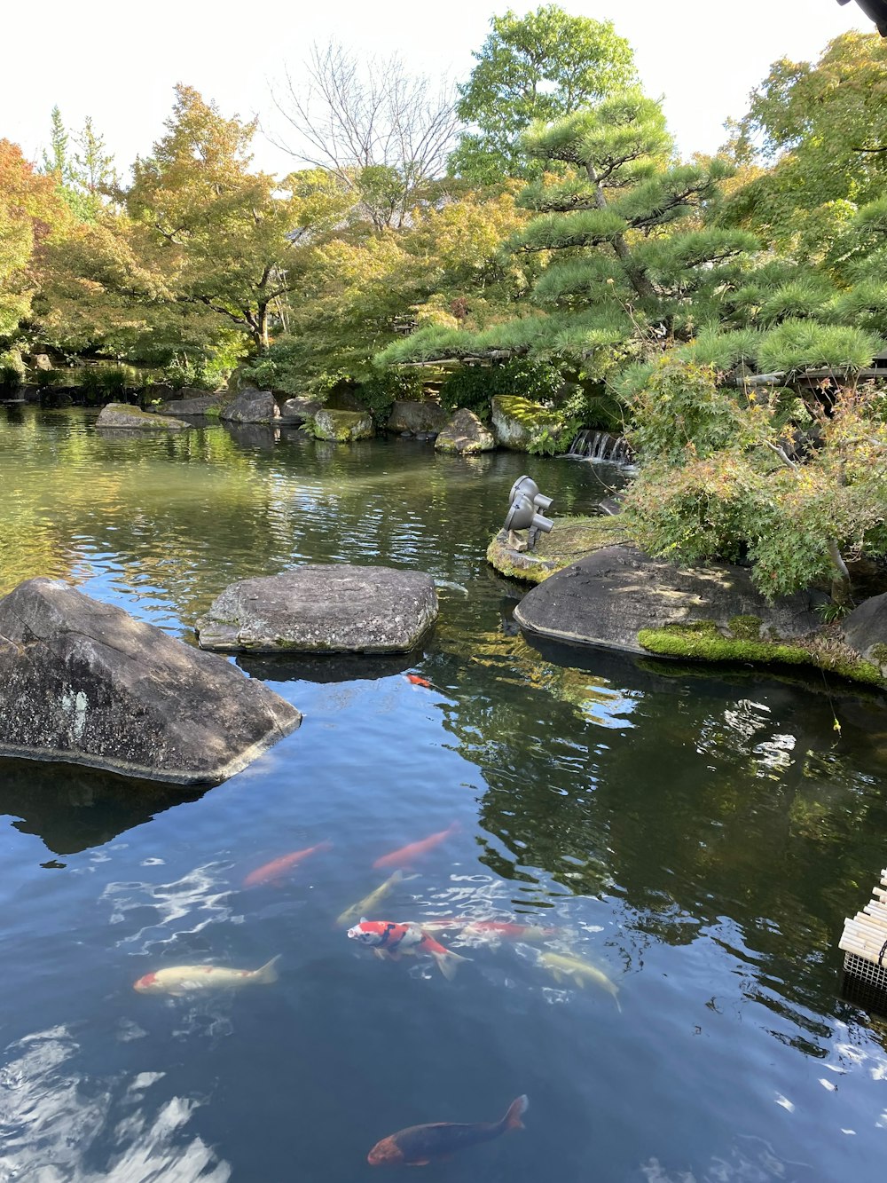 a pond filled with lots of water surrounded by rocks