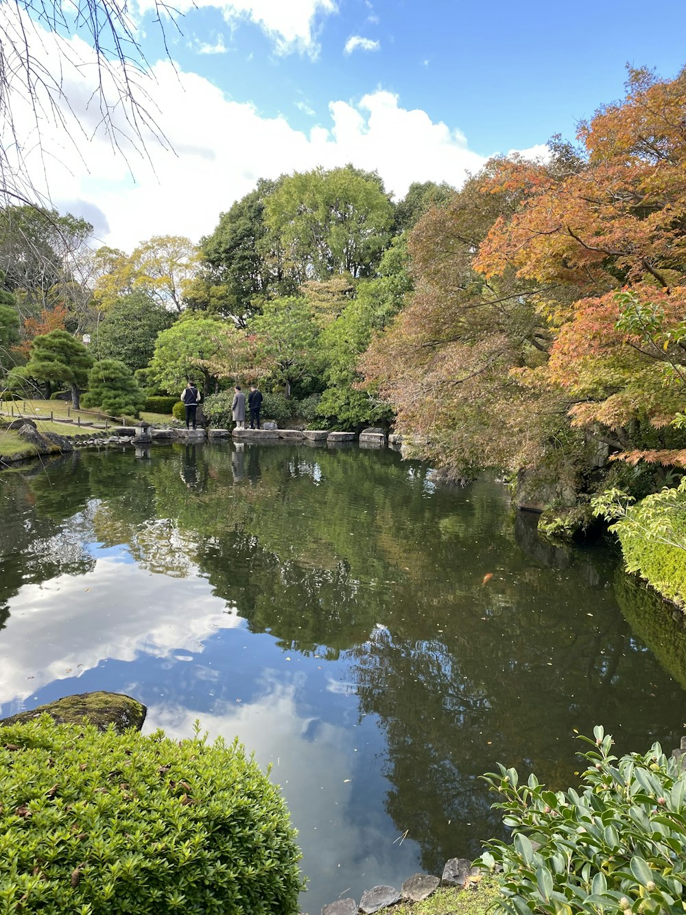 a pond surrounded by lush green trees in a park