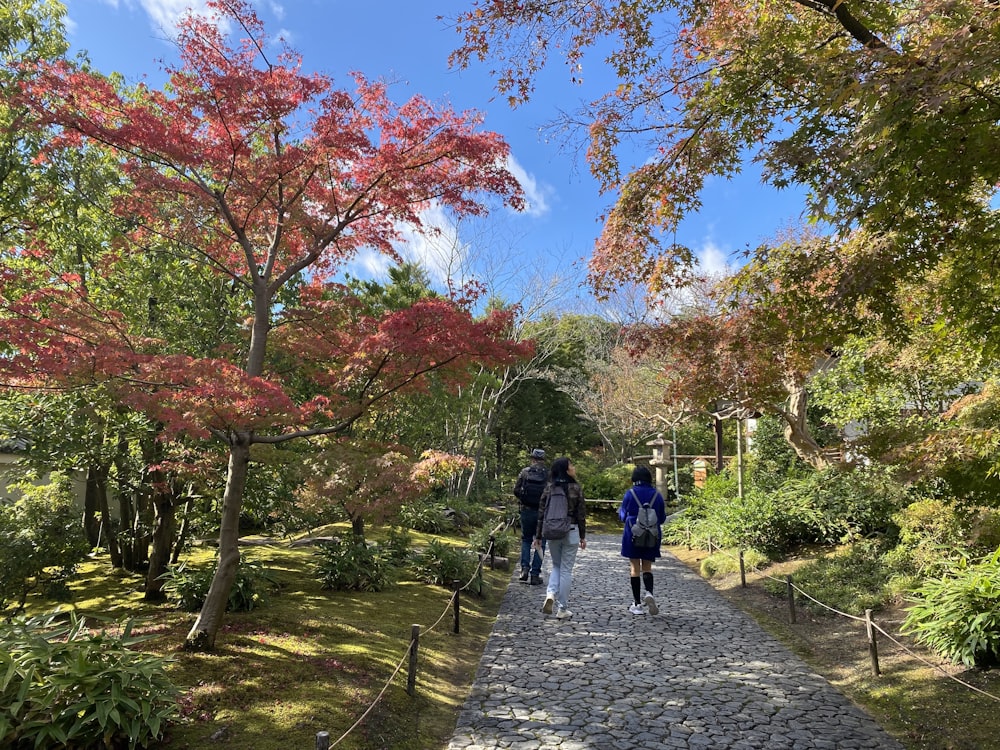 a group of people walking down a stone path