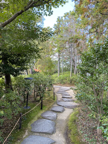 A serene stone garden path lined with smooth pebbles and soft moss.