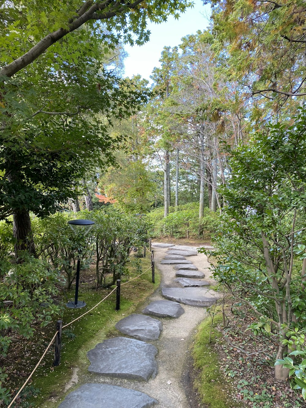 a stone path in the middle of a forest