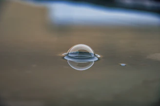 Close-up of a translucent bubble with subtle reflections highlighting its smooth surface.