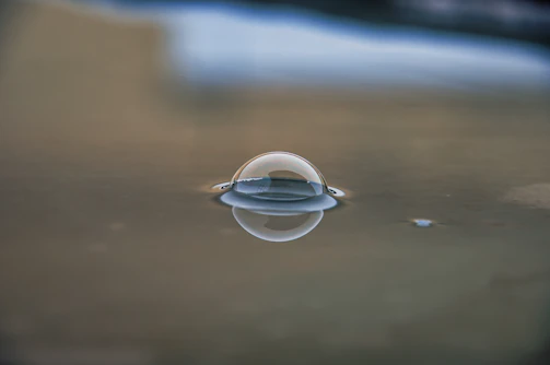 Close-up of a translucent bubble with subtle reflections highlighting its smooth surface.