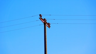 A utility pole with multiple overhead power lines set against a clear blue sky.