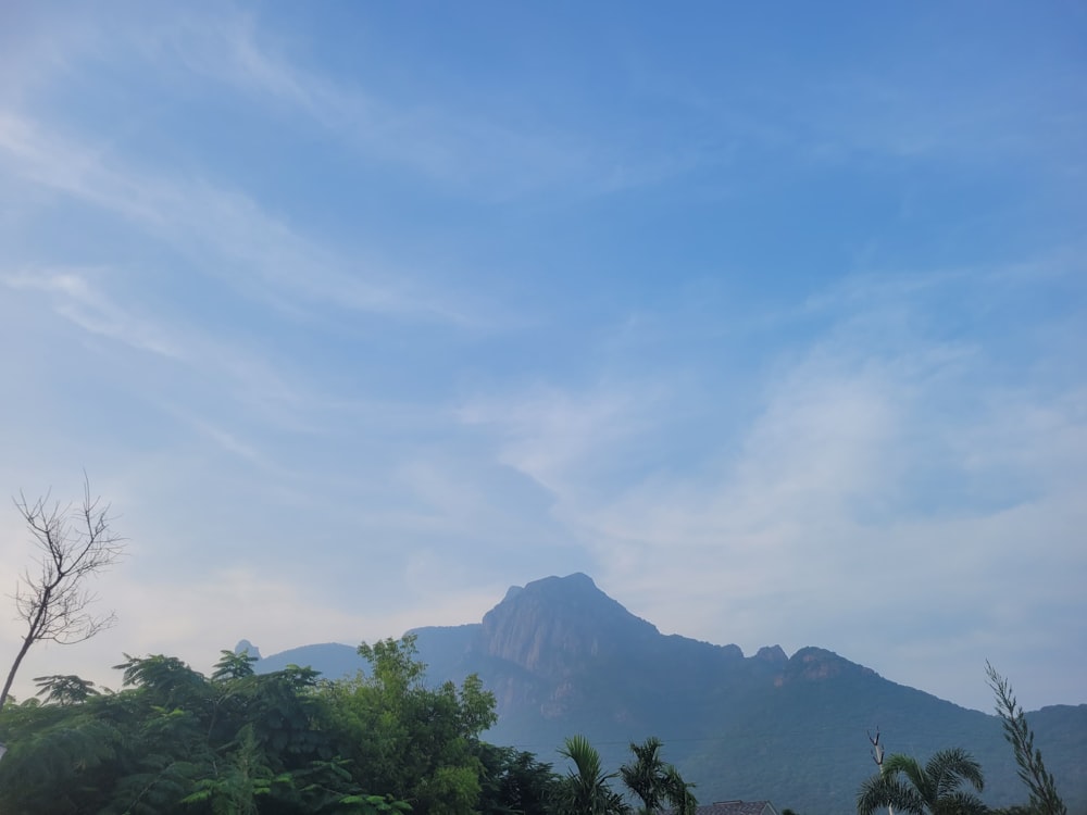 a view of a mountain with trees in the foreground