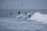 Several surfers are riding the waves in the ocean, with a distant city skyline visible on the horizon. The surfers appear to be skillfully maneuvering their boards through the water, and the scene is calm yet dynamic, with gentle waves rolling in.