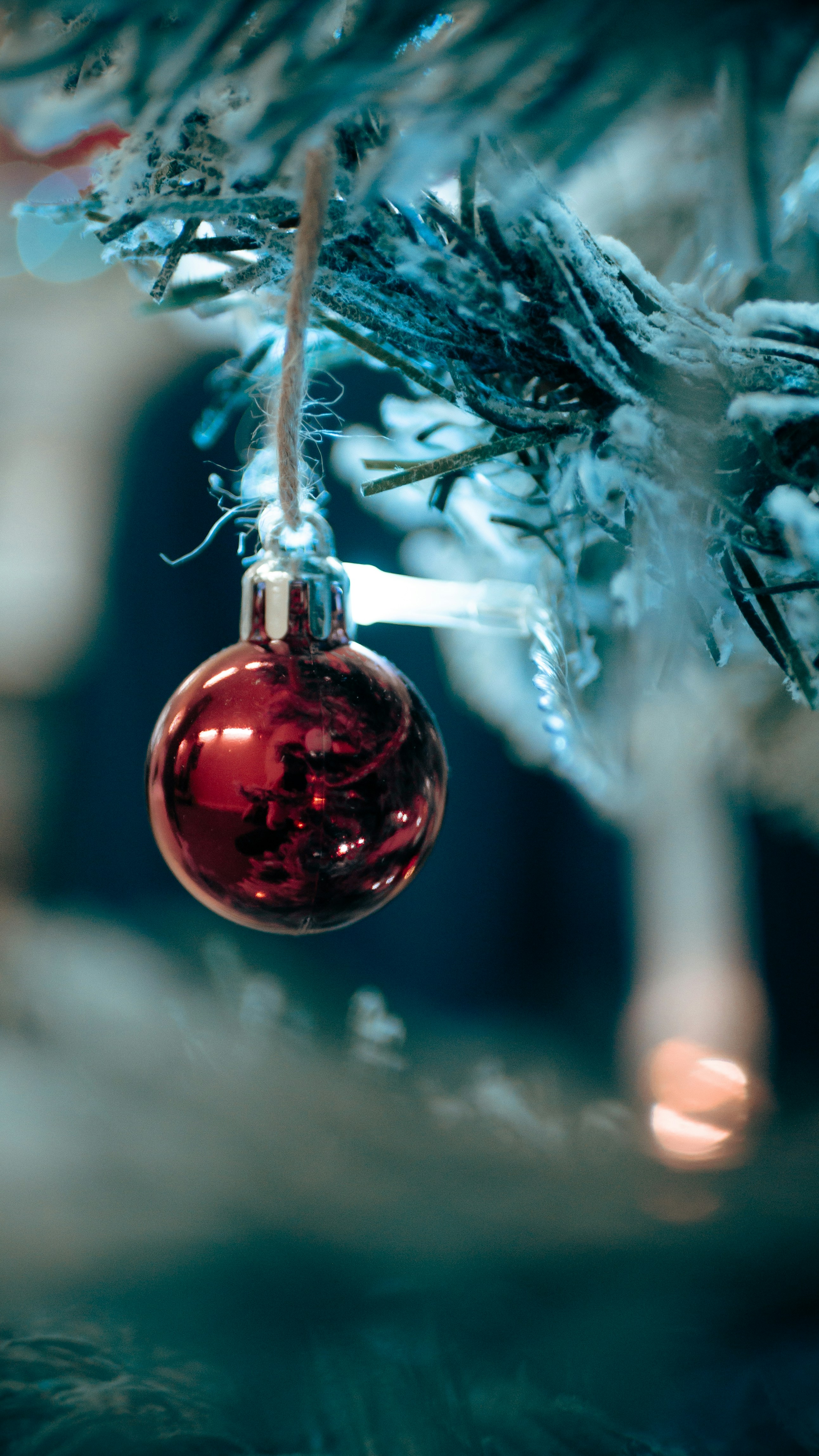 Photo by frenchpictures