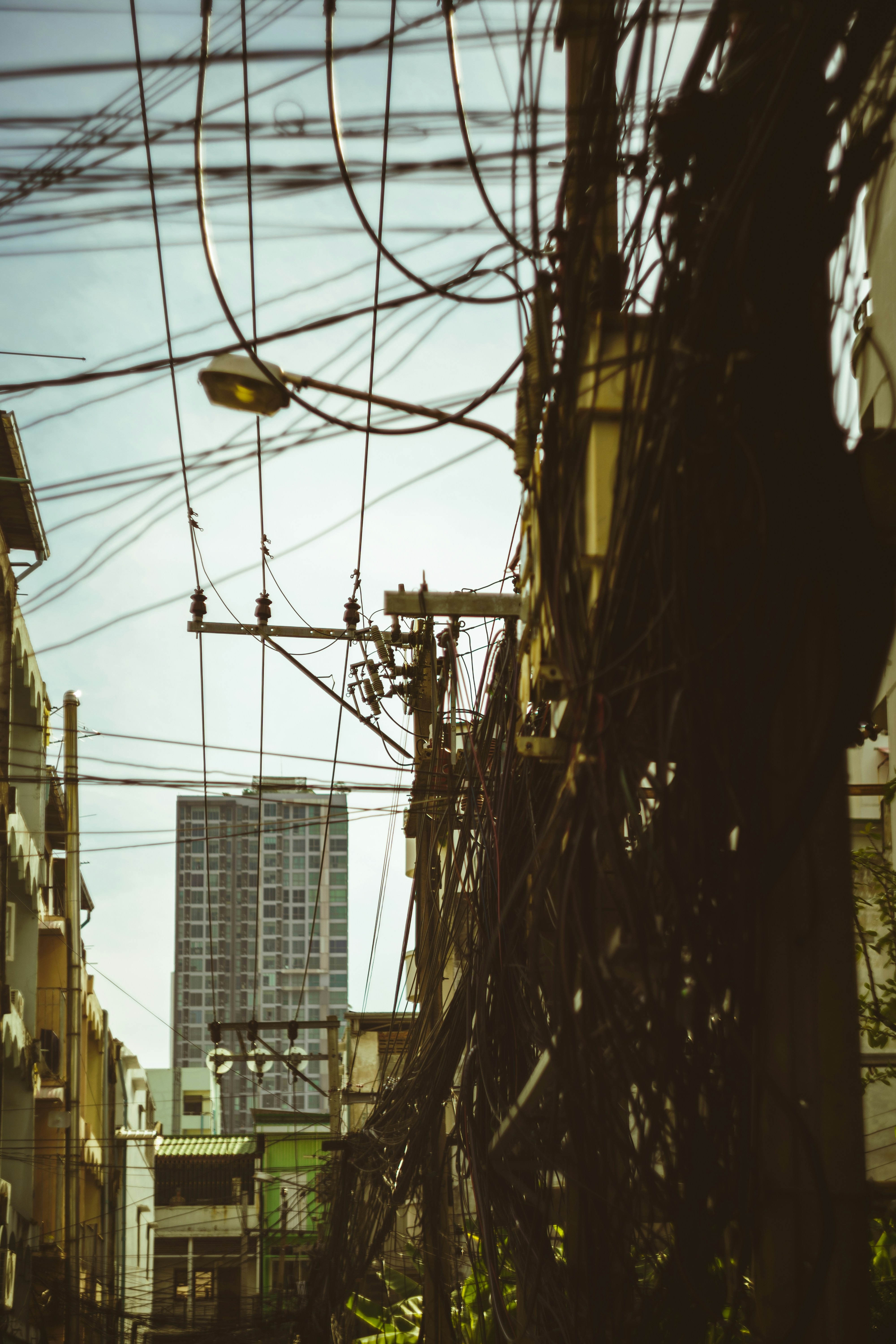 Photo by mirrors_are_more_fun