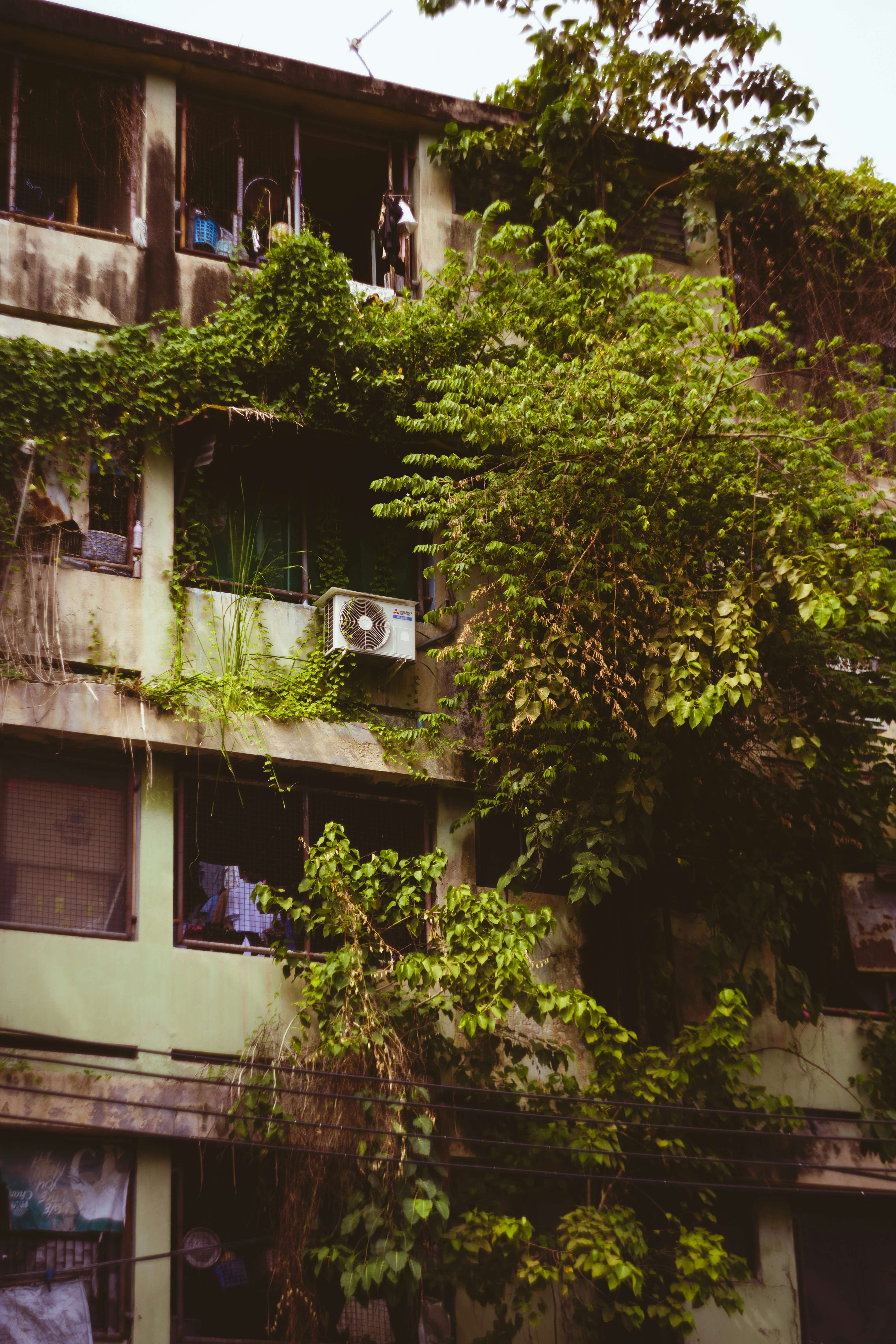 Photo by mirrors_are_more_fun