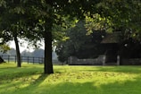 A serene landscape photo of the shelter's outdoor area.