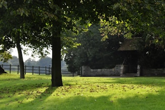 A serene landscape with a family discussing financial plans outdoors.