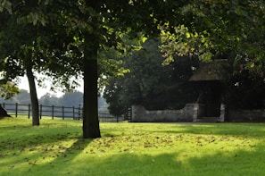 A serene landscape photo of the shelter's outdoor area.