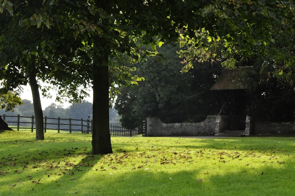 A serene landscape with a family discussing financial plans outdoors.