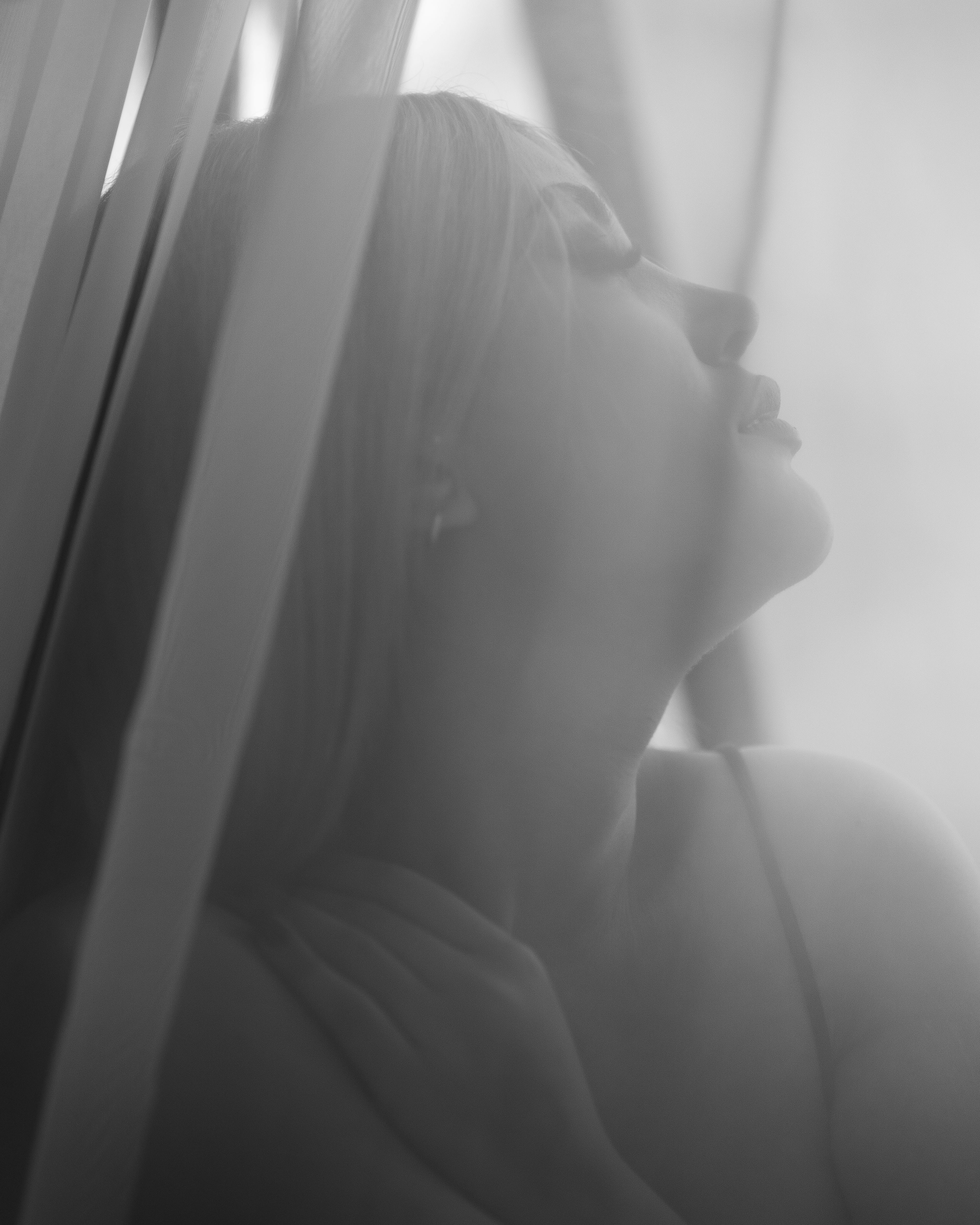 Photo by alireza_skndari