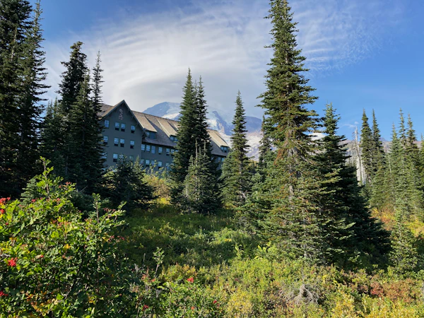 A large lodge building in the middle of a forest