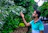 A man in casual clothes examining a green plant leaf with a look of curiosity.