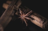 A close-up of a star anise placed on top of two cinnamon sticks, with a dark background that highlights the spices' textures and details. The star anise's eight arms create a star shape, while the cinnamon sticks show a rough surface with visible wood grain.