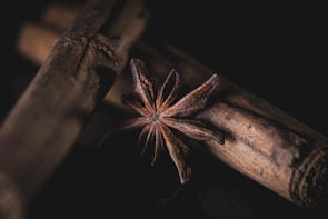 A close-up of a star anise placed on top of two cinnamon sticks, with a dark background that highlights the spices' textures and details. The star anise's eight arms create a star shape, while the cinnamon sticks show a rough surface with visible wood grain.